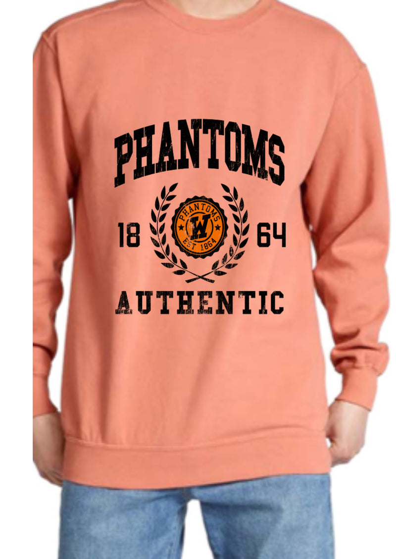 WDP COMFORT COLORS ACADEMIA CREW SWEATSHIRT