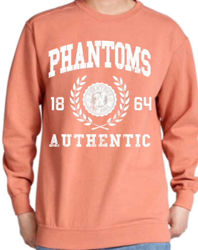 WDP COMFORT COLORS ACADEMIA CREW SWEATSHIRT