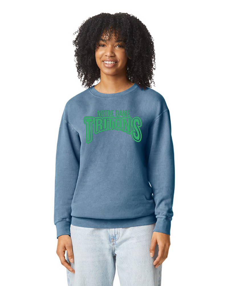 School Understated Comfort Colors Crew Sweatshirt